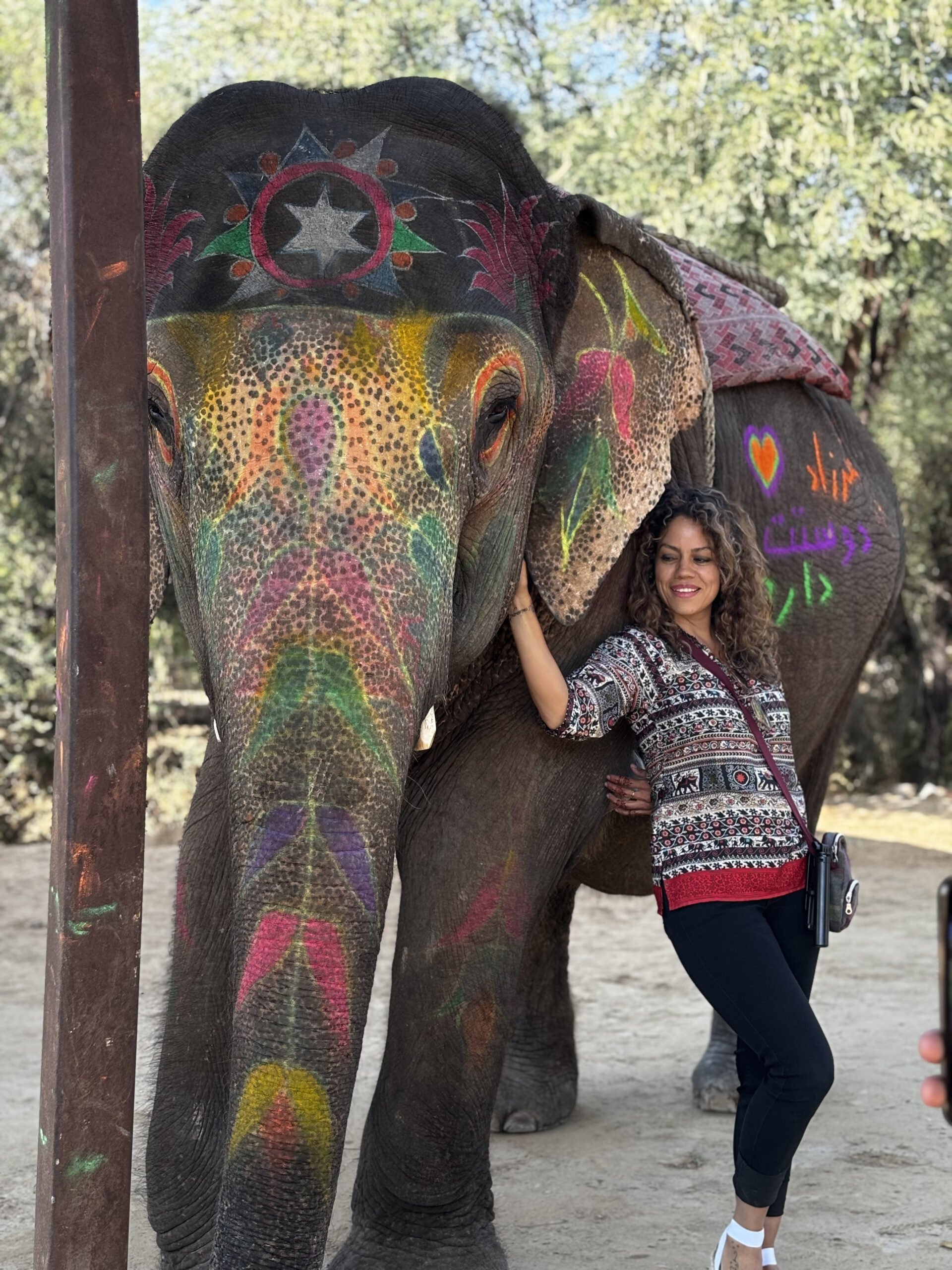Tour Del Triángulo Dorado Con Jodhpur