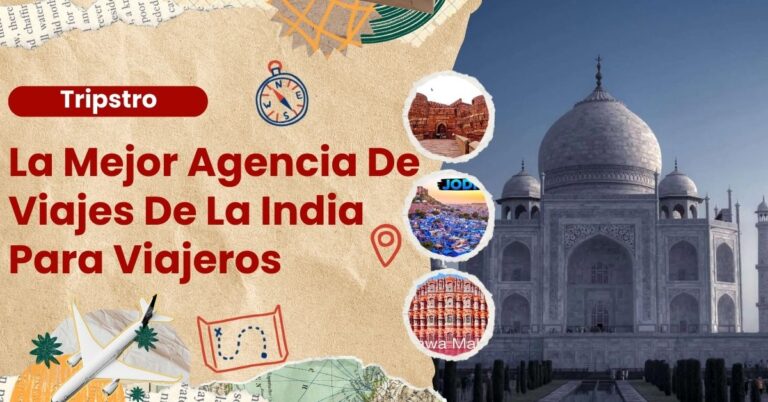 Read more about the article La Mejor Agencia de Viajes en la India: Tripstro