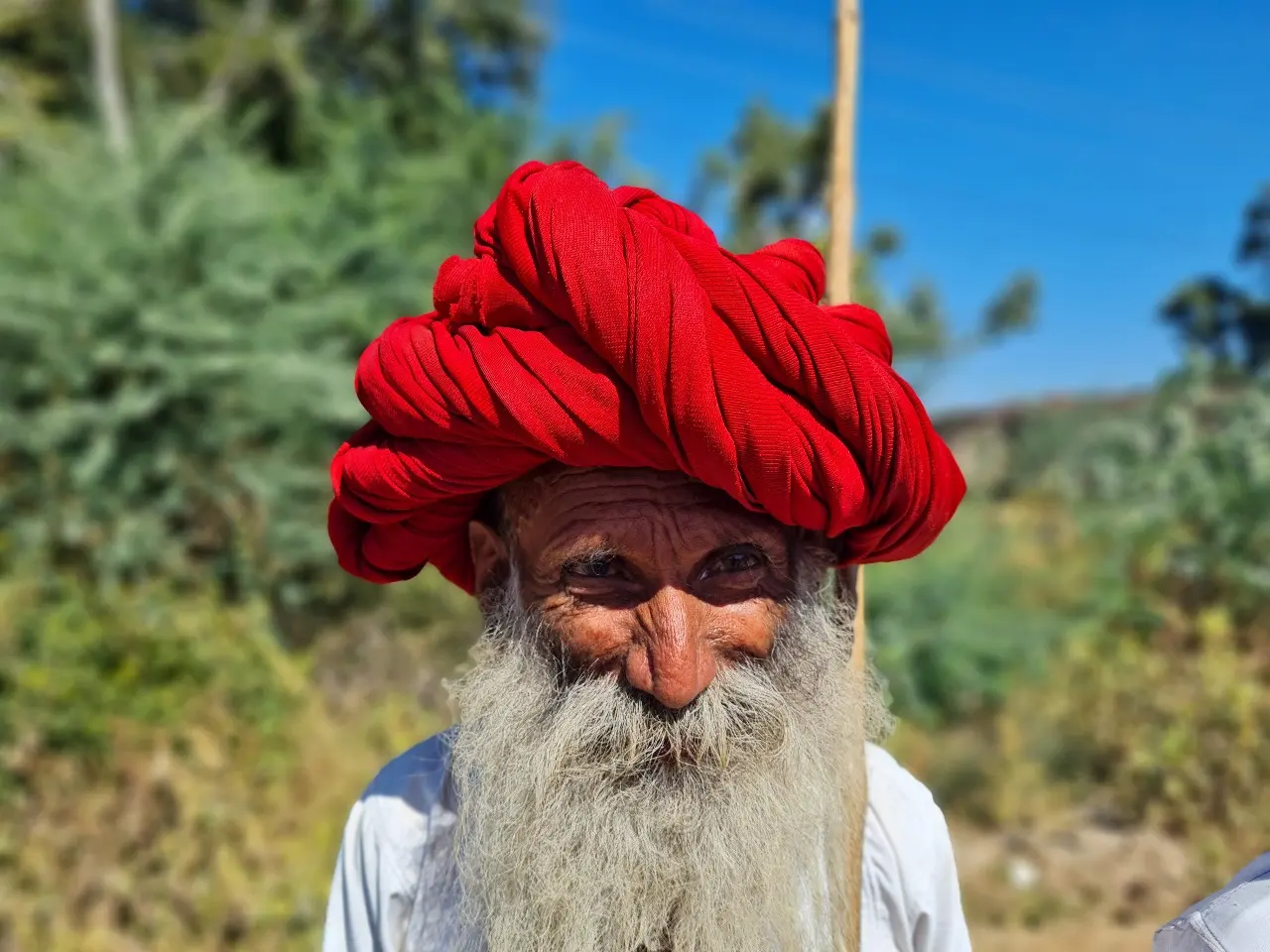Paquete turístico de lujo en Rajastán