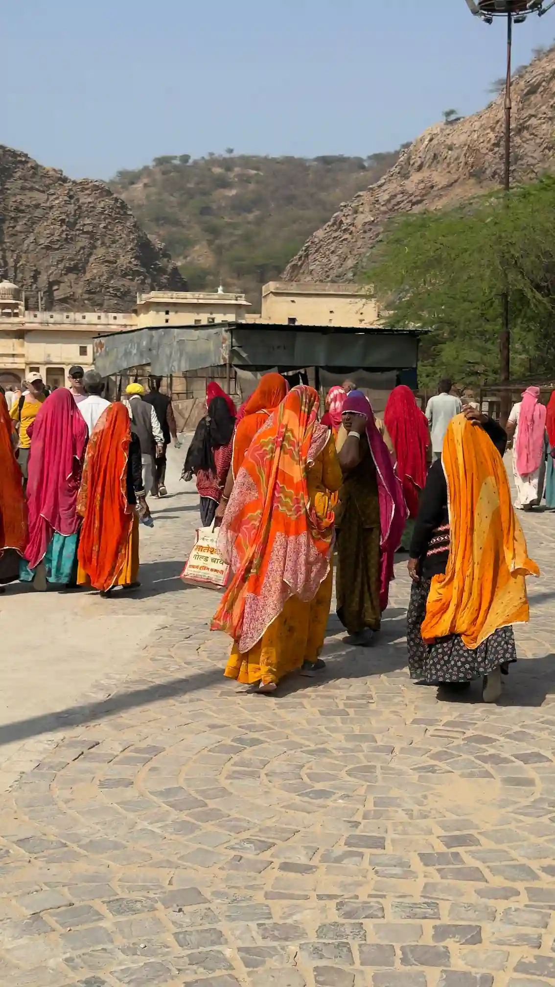 Paquete turístico de lujo en Rajastán