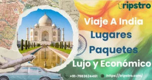 Read more about the article Viaje a India: Lugares, Paquetes, Lujo y Económico | Tripstro