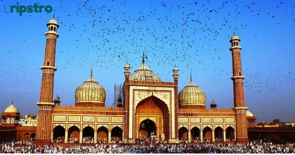 Historia de la Jama Masjid de Agra