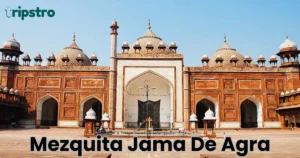 Read more about the article Mezquita Jama de Agra: La Historia y Arquitectura de la Mezquita Más Famosa en Agra