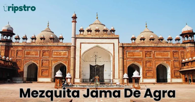 Read more about the article Mezquita Jama de Agra: La Historia y Arquitectura de la Mezquita Más Famosa en Agra