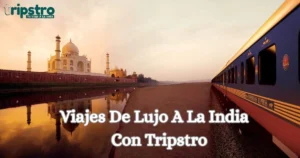 Read more about the article Viajes De Lujo A La India Con Tripstro: Tu Guía Definitiva