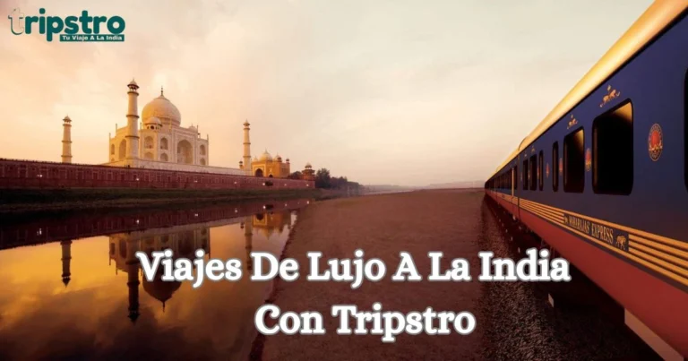 Read more about the article Viajes De Lujo A La India Con Tripstro: Tu Guía Definitiva
