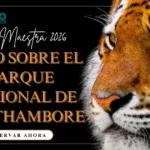 Guía 2026: Información sobre el Parque Nacional Ranthambore