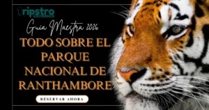 Read more about the article Guía 2026: Información sobre el Parque Nacional Ranthambore