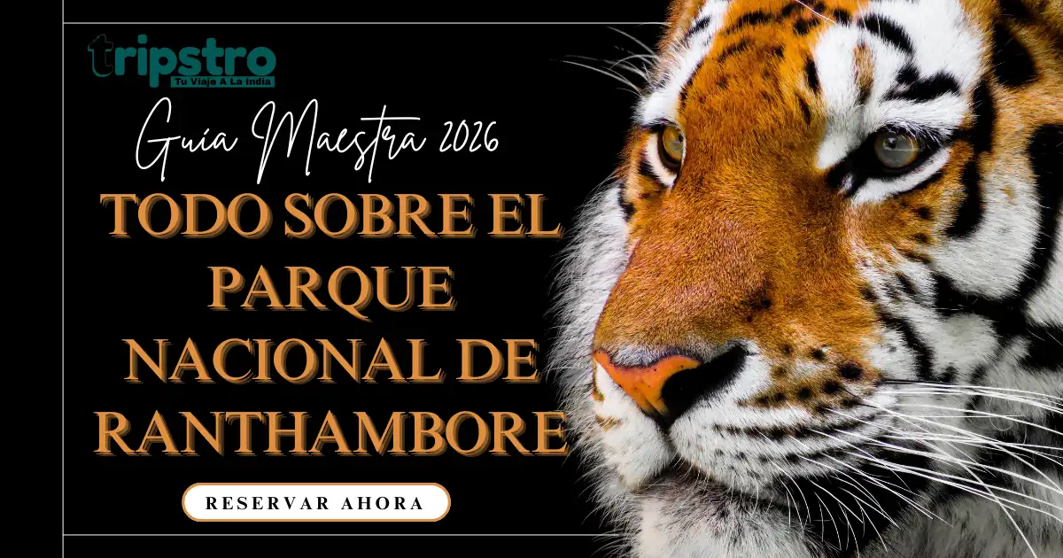 You are currently viewing Guía 2026: Información sobre el Parque Nacional Ranthambore