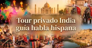 Read more about the article Tour privado India guía habla hispana