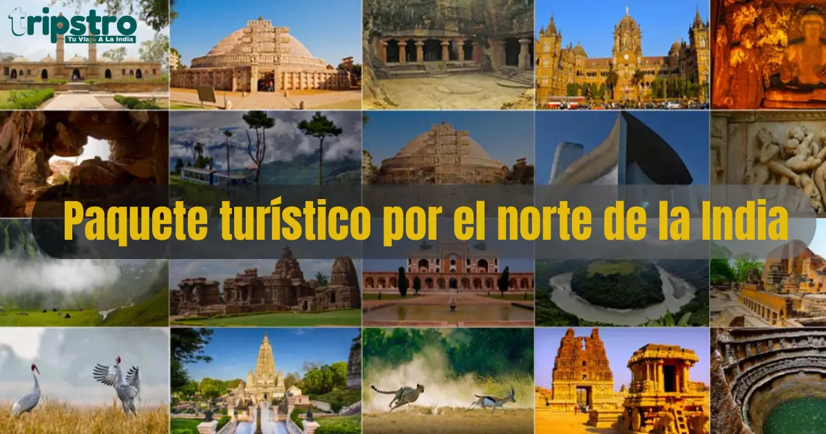 You are currently viewing Paquete turístico por el norte de la India con Triángulo Dorado India