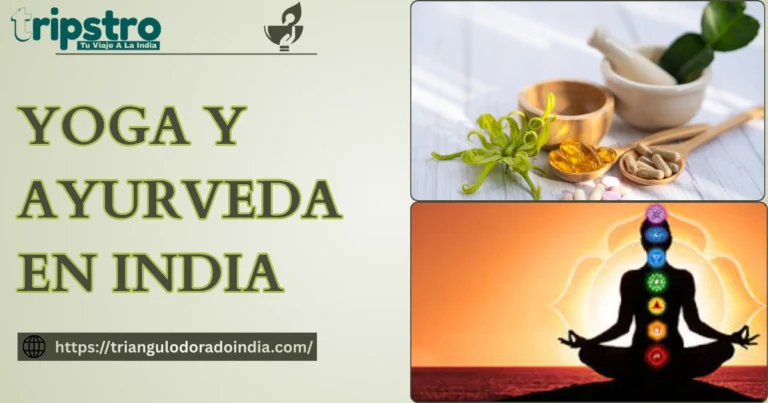 Read more about the article Yoga y Ayurveda en India: La Esencia Milenaria del Bienestar Holístico