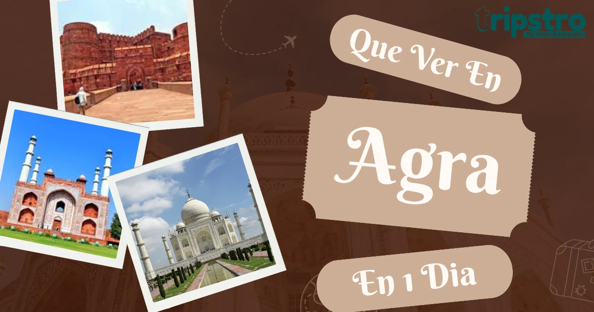 You are currently viewing Que Ver En Agra En 1 Dia: La Guía Definitiva
