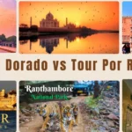 Triangulo Dorado vs Tour Por Rajasthan: ¿Cuál Elegir?